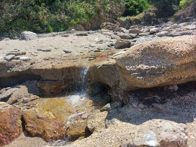 plaka3