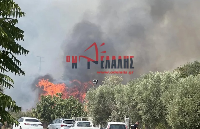 Υπό μερικό έλεγχο η φωτιά στο Λιτόχωρο – Δύο προσαγωγές