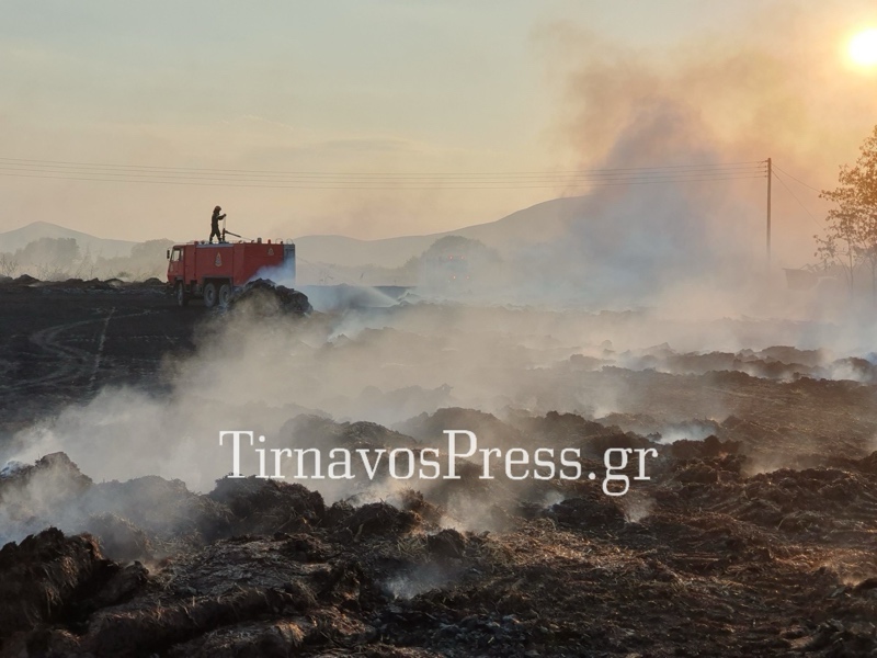 Υπό έλεγχο η φωτιά στον δρόμο Ροδιάς – Βρυοτόπου (φωτογραφίες)