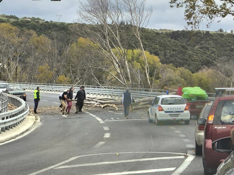 Τέμπη: Κατέρρευσε τεράστιο δένδρο στο οδόστρωμα, από θαύμα αποφεύχθηκαν τα χειρότερα
