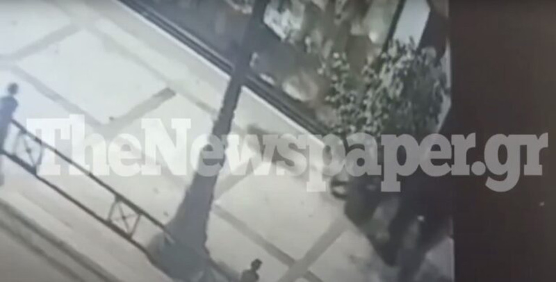 Βόλος: Ψάχνουν για serial killer αδέσποτων ζώων – Τα ταΐζει και μετά τα μαχαιρώνει