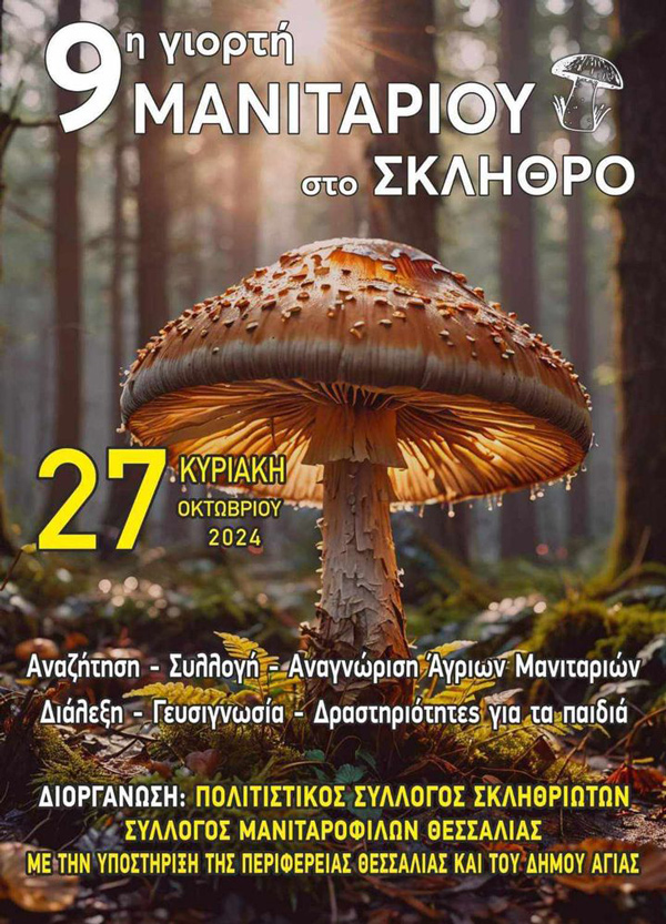 9η Γιορτή Μανιταριού στο Σκλήθρο