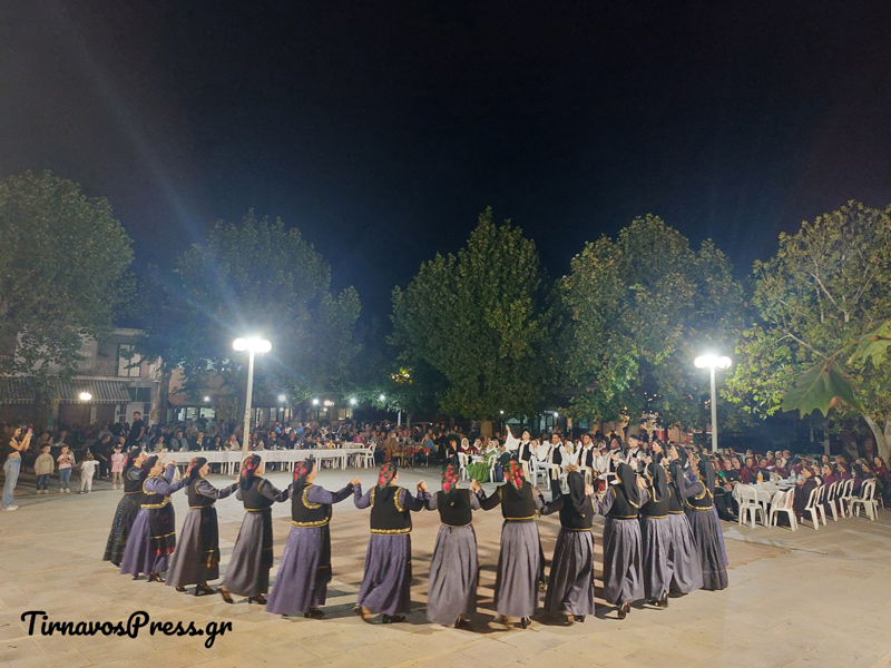 DSC 4923