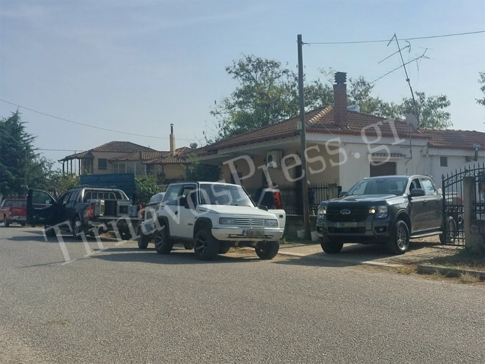 Πλατανούλια: Απομακρύνθηκαν 18 σκυλιά από το σπίτι της άτυχης 70χρονης (βίντεο και φωτογραφίες)