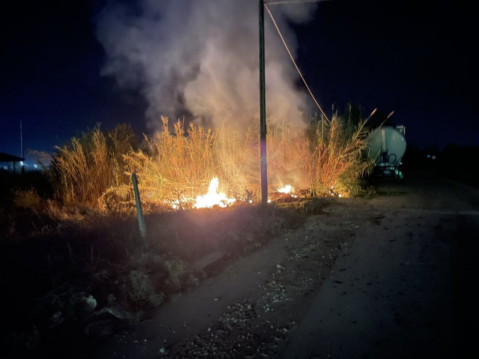 Φωτιά τα ξημερώματα σε καλαμιές στον Τύρναβο