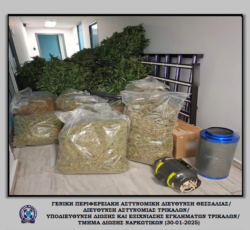 Εξάρθρωση κυκλώματος ναρκωτικών: 109,5 κιλά κάνναβης και 208 δενδρύλλια κατασχέθηκαν σε Θεσσαλονίκη & Χαλκιδική