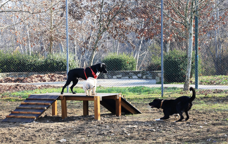 Ξεκίνησε τη λειτουργία του το Πάρκο Σκύλων του Δήμου Λαρισαίων
