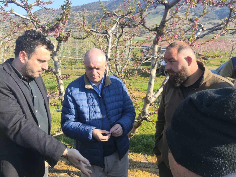 Καπετάνος: Άμεση κινητοποίηση για τις ζημιές από τον καταστροφικό παγετό στον Νομό Λάρισας-Περιοδεία σε χωράφια πληγέντων χωριών