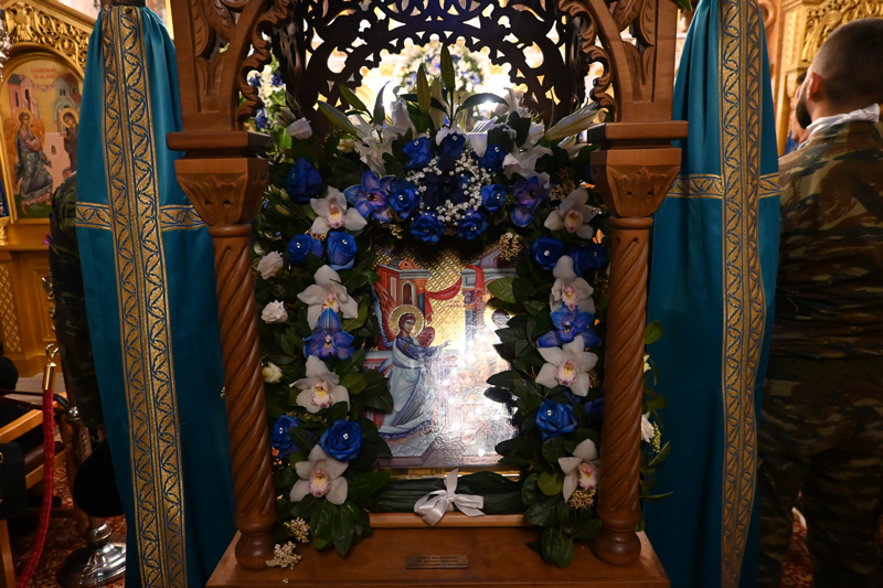 rodia11