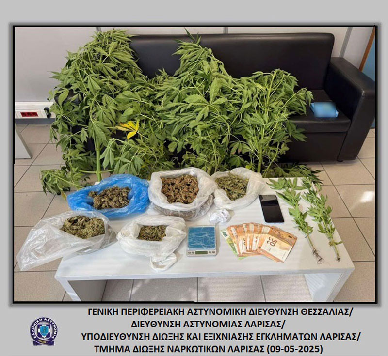Σύλληψη άνδρα στη Λάρισα για καλλιέργεια και κατοχή κάνναβης – Κατασχέθηκαν δενδρύλλια και μετρητά