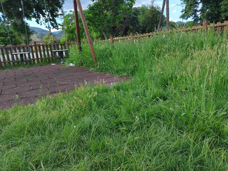 paidiki