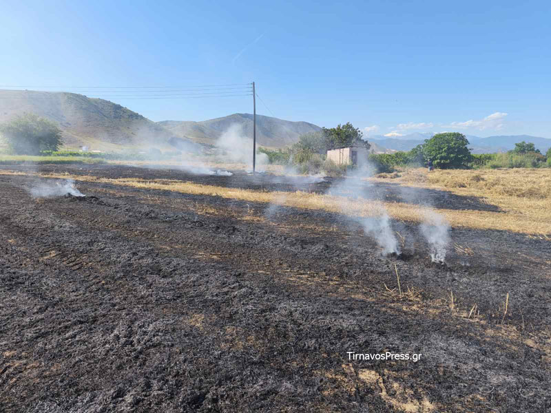 Μικρής έκτασης φωτιά στον Τύρναβο – Τέθηκε υπό έλεγχο χάρη στην έγκαιρη παρέμβαση