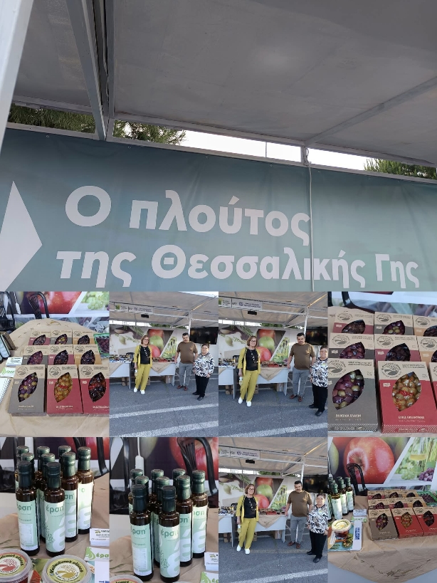 IMG 20250615 140003