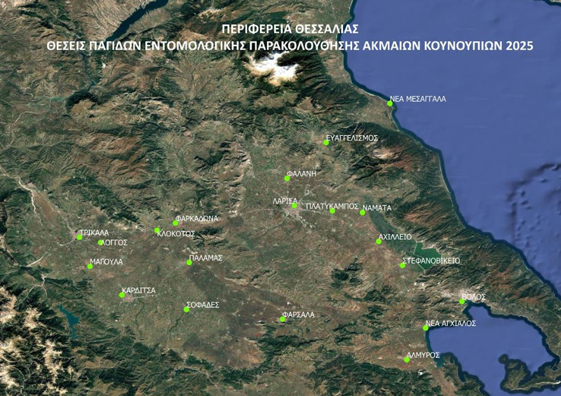 Στην δημοσιότητα από την Περιφέρεια Θεσσαλίας τα στοιχεία εντομολογικής παρακολούθησης των κουνουπιών