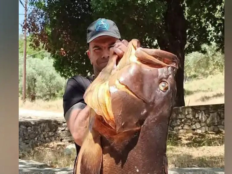 Ψαροντουφεκάς στον Βόλο πήγε για ψάρεμα και γύρισε με ροφό 27 κιλών