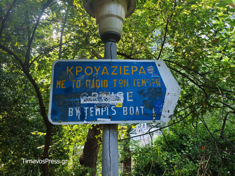 tempi pezog
