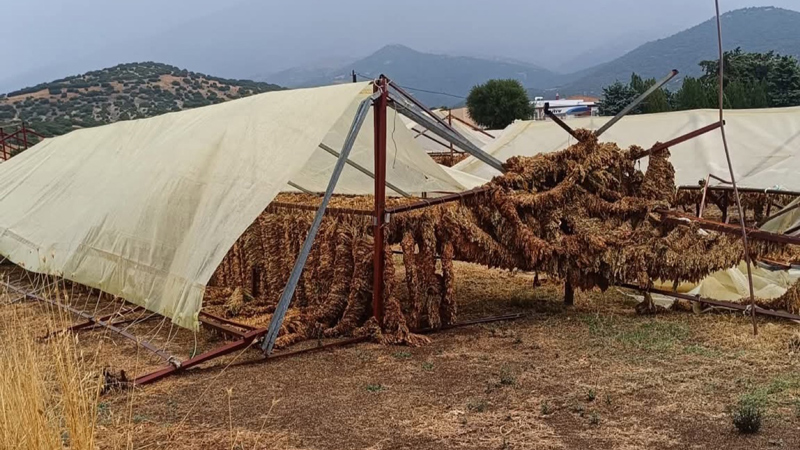 Καταστροφικό μπουρίνι σε Ολυμπιάδα και Φλάμπουρο – Ζημιές σε καλλιέργειες