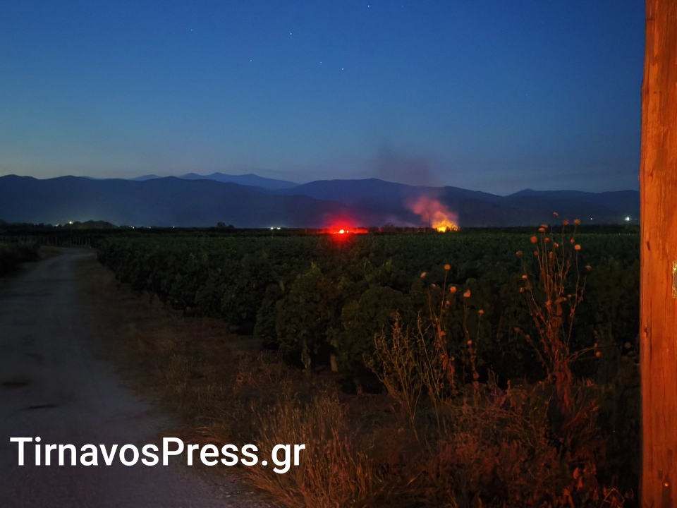 Φωτιά στον δρόμο Τυρνάβου – Δελερίων – Τρίτη εστία πυρκαγιάς σήμερα