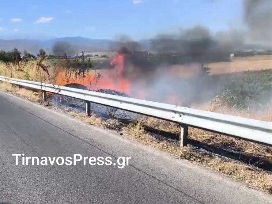 Φωτιά στην είσοδο του Τυρνάβου – Στο σημείο η Πυροσβεστική, κλειστή η κυκλοφορία