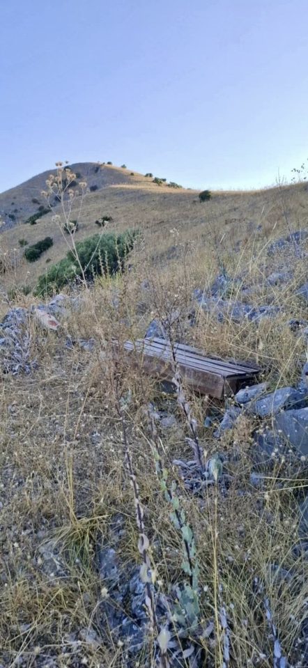 IMG 20250713 100021