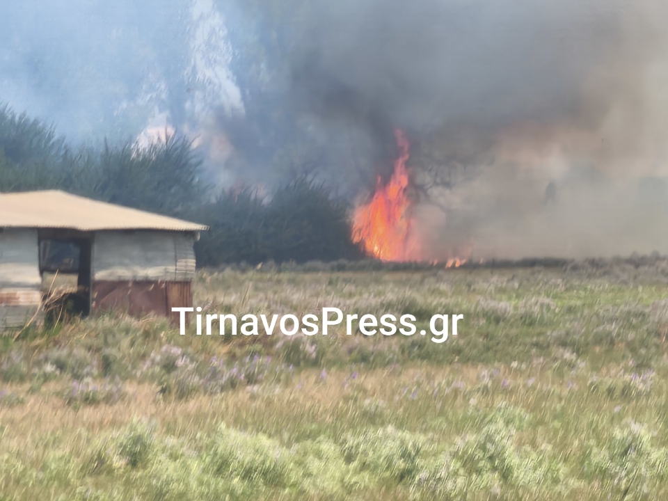 Φωτιά σε ξερά χόρτα στην επαρχιακή οδό Αμπελώνα – Δελερίων