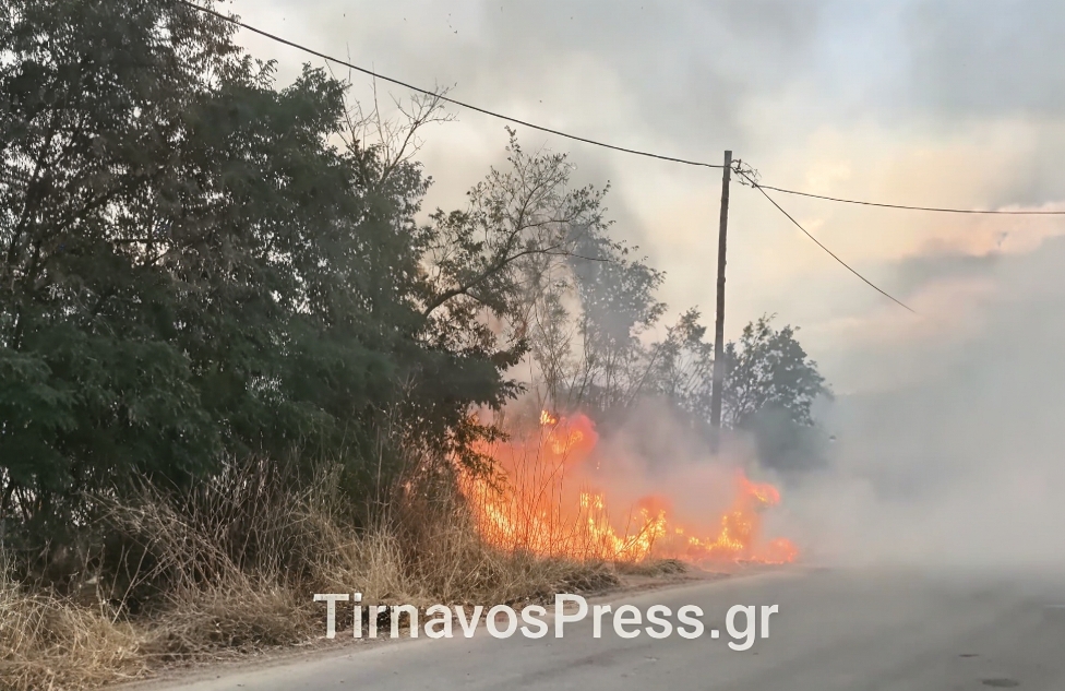 Μεγάλη φωτιά στον Τύρναβο – Κοντά σε κατοικίες