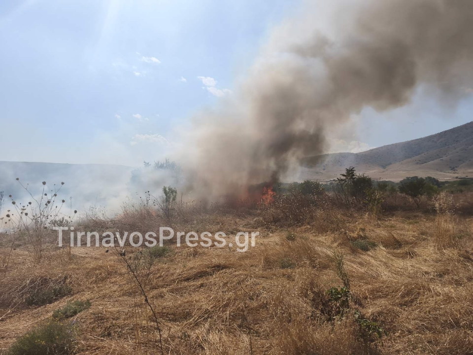 Φωτιά στον Τύρναβο: Διάσπαρτες εστίες – Απειλήθηκε αγροικία