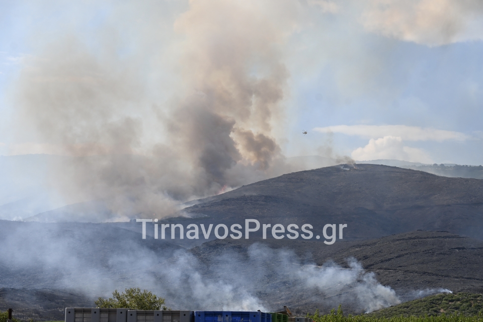 Σε εξέλιξη η μεγάλη φωτιά στον Κίσσαβο – Συναγερμός στις πυροσβεστικές αρχές