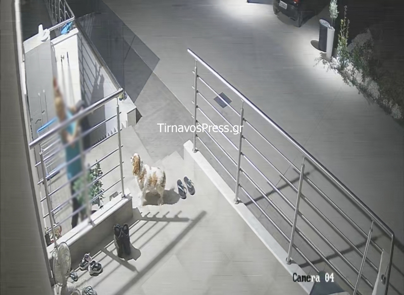 Τύρναβος: Πιάστηκε σε κάμερα να “ψωνίζει” από αυλή – Έκλεψε ρούχα και παπούτσια παιδιών (βίντεο)