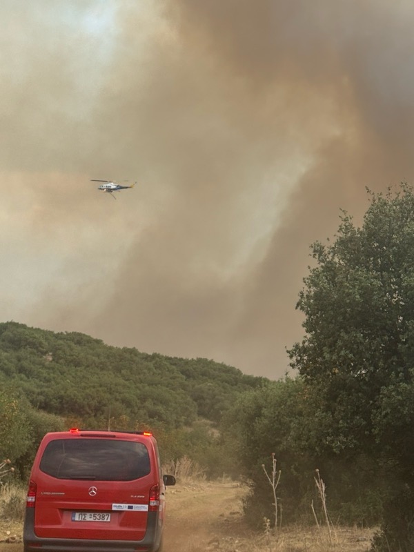 IMG 9575d065388347e4efefda2670fd8f45 V