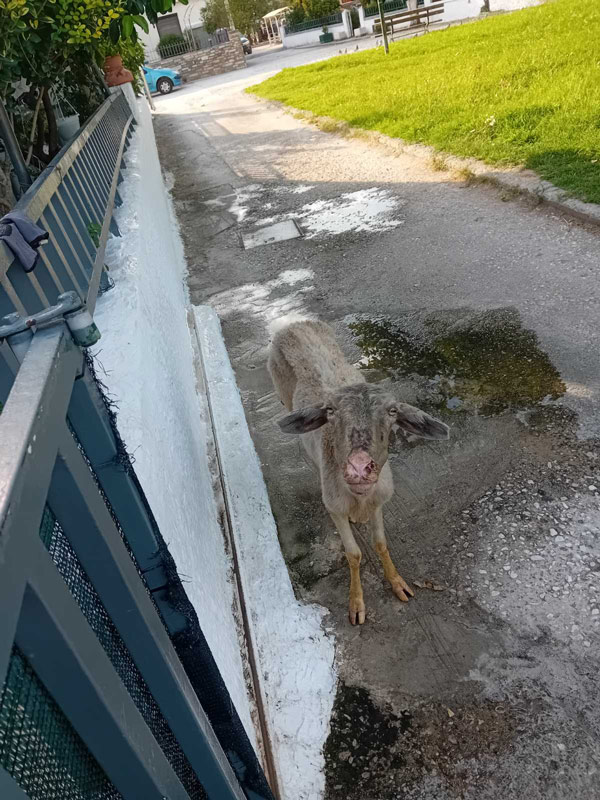 provato