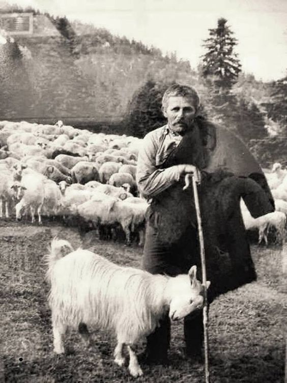 klitsa-tsopanis