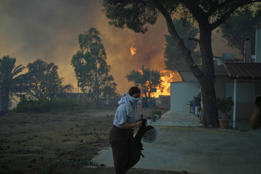 Φωτιά – Εικόνες αντί για χίλιες λέξεις: Καμιά ζωή δεν περισσεύει – Στιγμιότυπα από διασώσεις ζώων